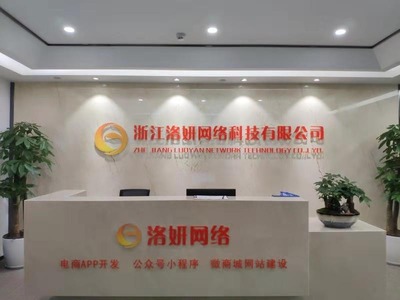 杭州洛妍专业软件开发 引领行业创新与数字化转型